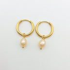 Boucles d'Oreilles ARMERIA