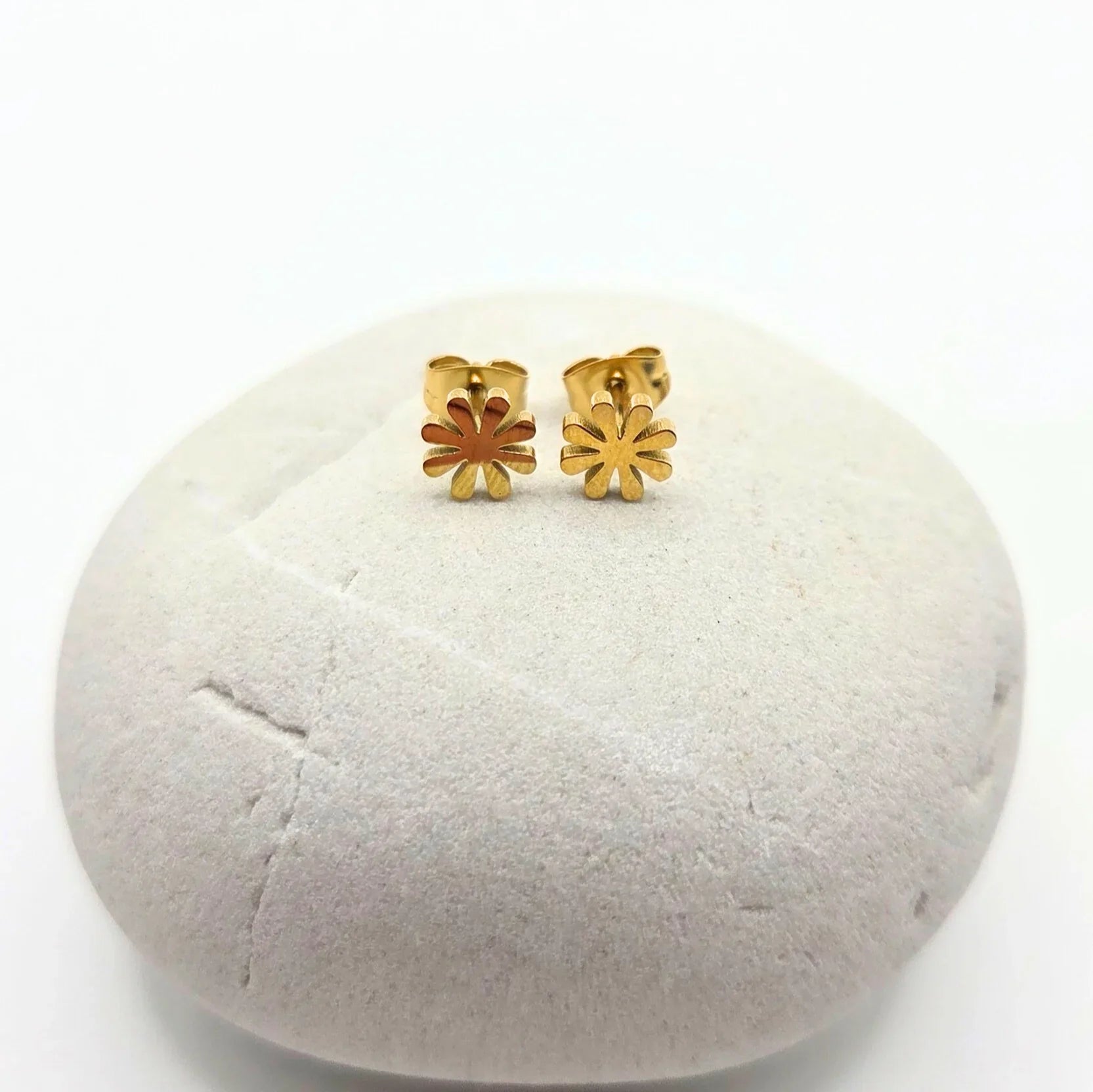 Boucles d'oreilles BEGONIA