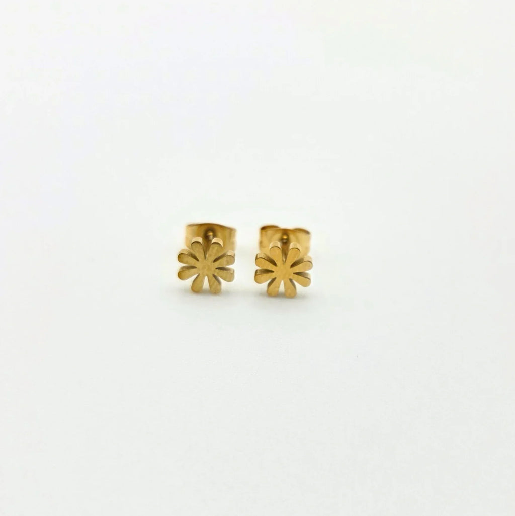 Boucles d'oreilles BEGONIA