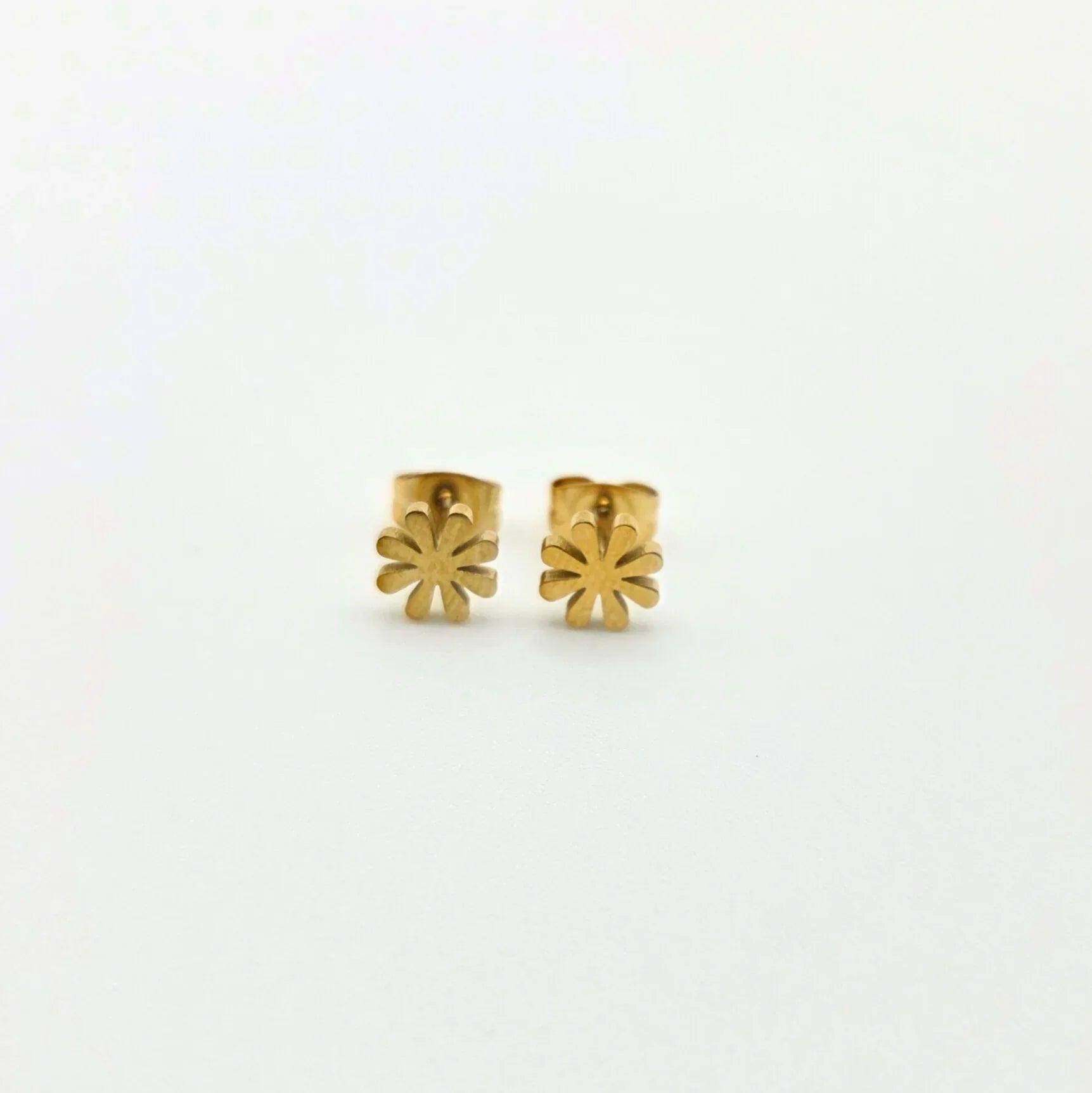 Boucles d'oreilles BEGONIA