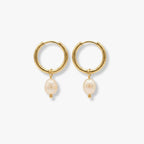 Boucles d'Oreilles ARMERIA